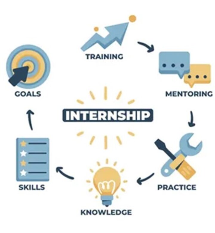 Internship process diagram with icons for goals, training, mentoring, practice, knowledge, and skills.